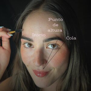 Curso de arquitectura y visajismo de cejas